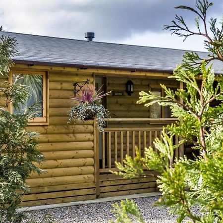 Laurel Lodge - 2 Bedroom Log Cabin - St Florence Saint Florence Eksteriør bilde