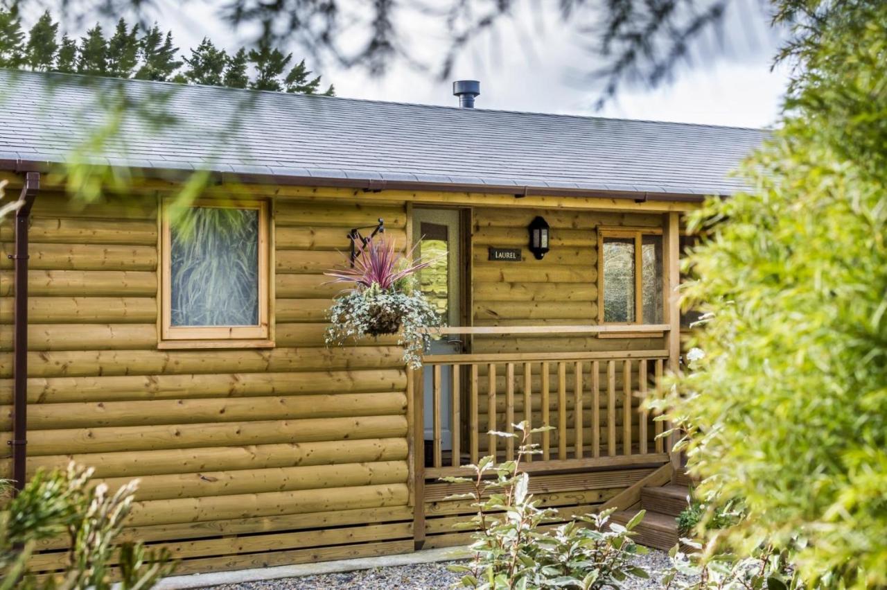 Laurel Lodge - 2 Bedroom Log Cabin - St Florence Saint Florence Eksteriør bilde